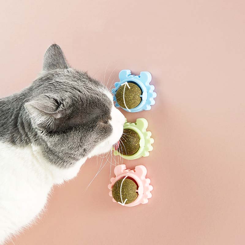 Cat Catnip Ball Speelgoed Krab Base