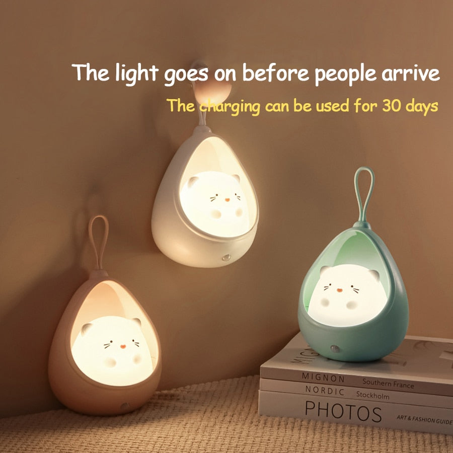 Led Night Light Human Body Induction